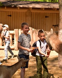 День 4