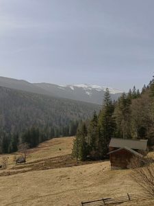 День 3